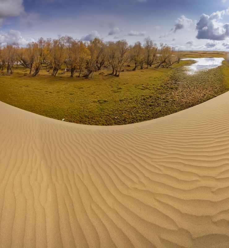 Улыбка Гоби фото превью