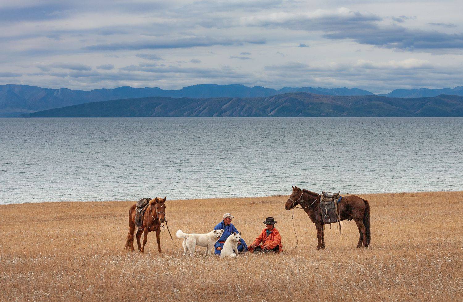 , Трофимов Алексей