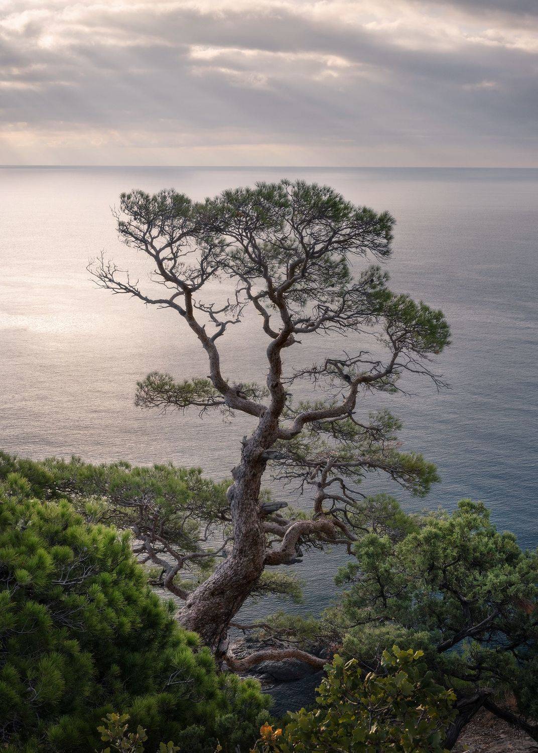 новый, свет., крым., морской, пейзаж., Константин Калинин