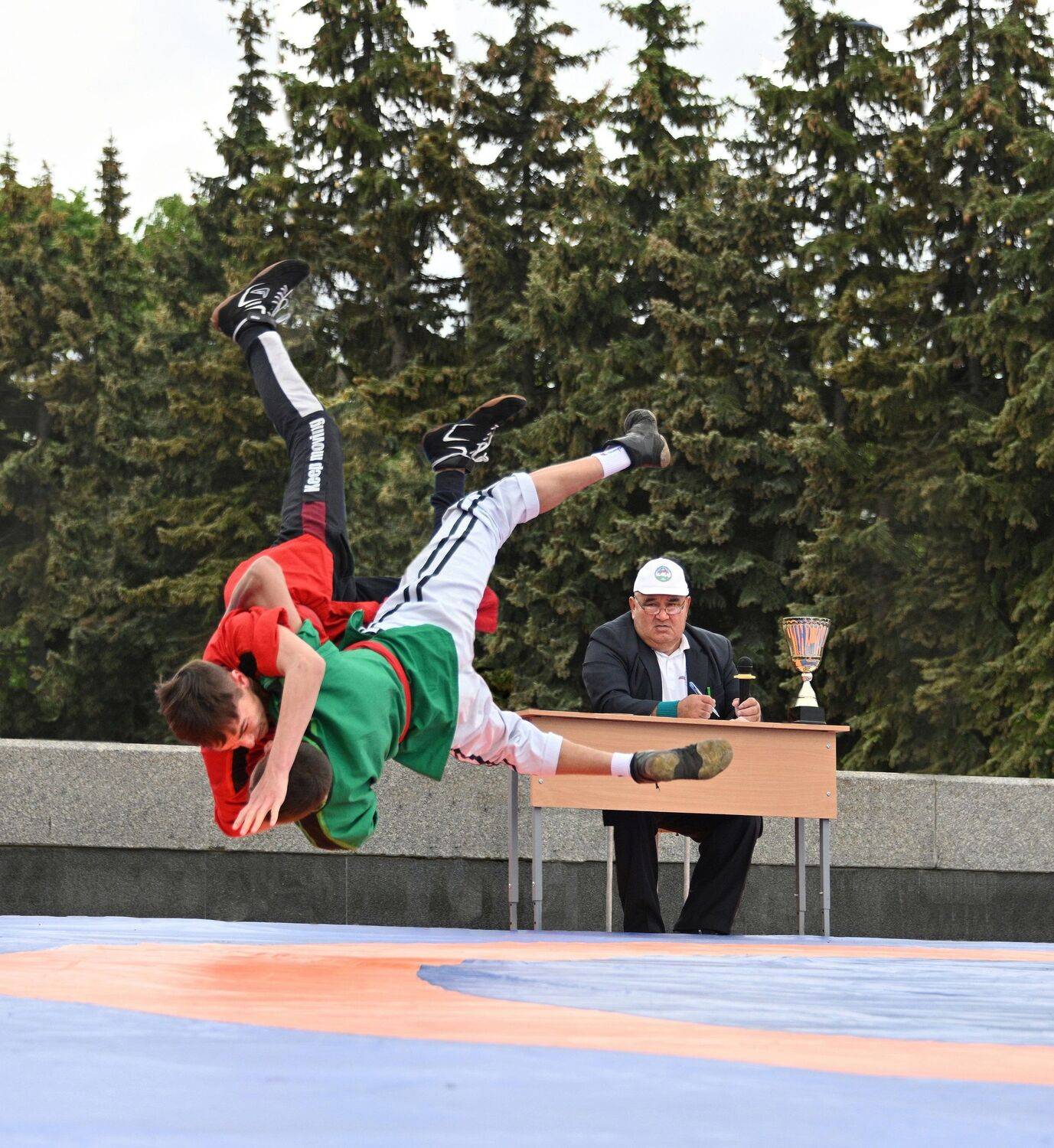 , Меднов Влад