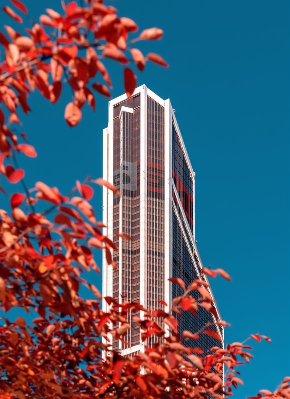 осень, москва сити, архитектура, ммдц, moscow, city, moscow city, autumn Осень в Сити фото превью