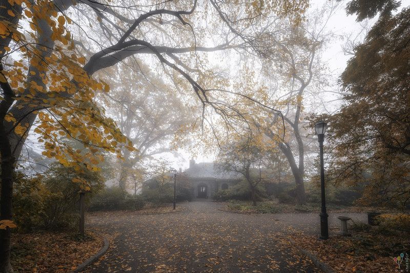 new york, October Fog in Fort Tryon Park фото превью