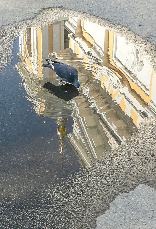 После дождя фото превью
