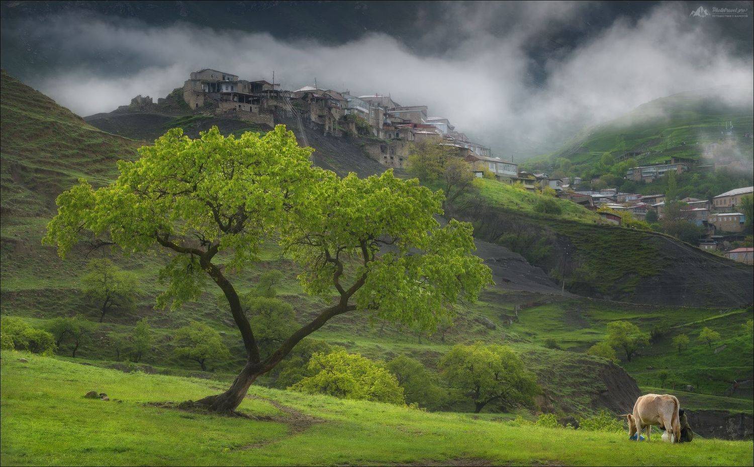 дагестан, чох, террасы, фототур в дагестан, кавказ, чохские террасы, Влад Соколовский