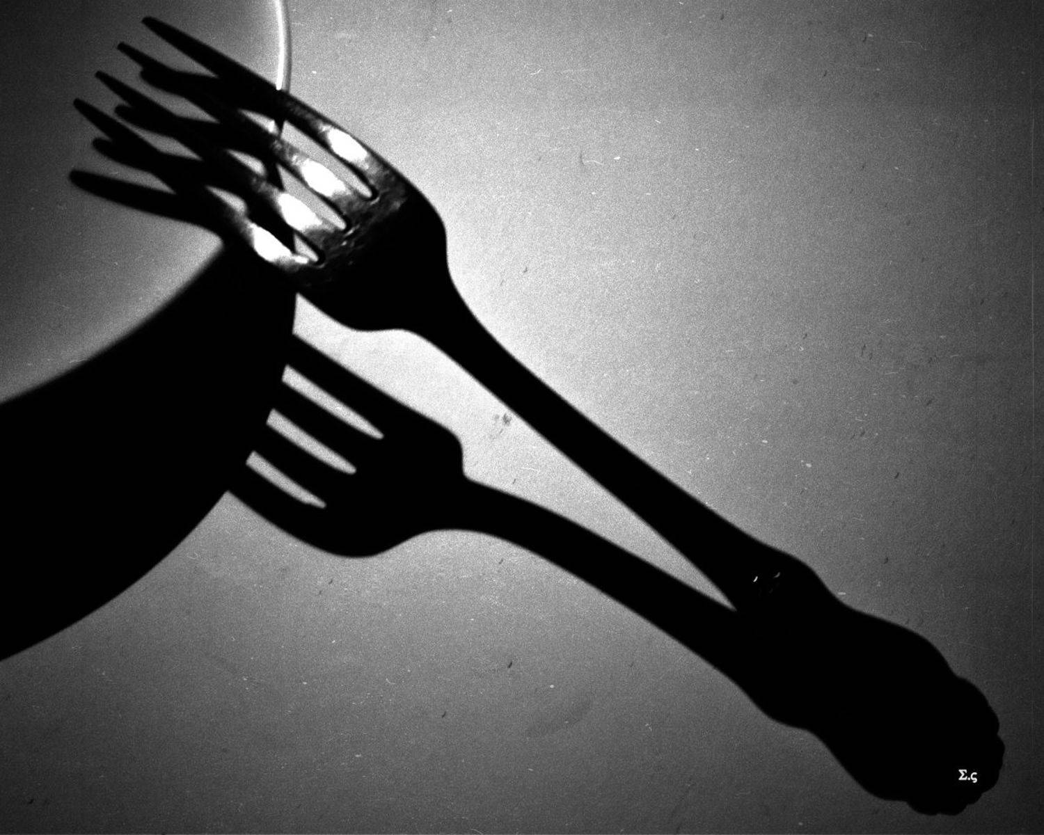 ВИЛКИ ТЕНИ FORK, Sergey Voronin