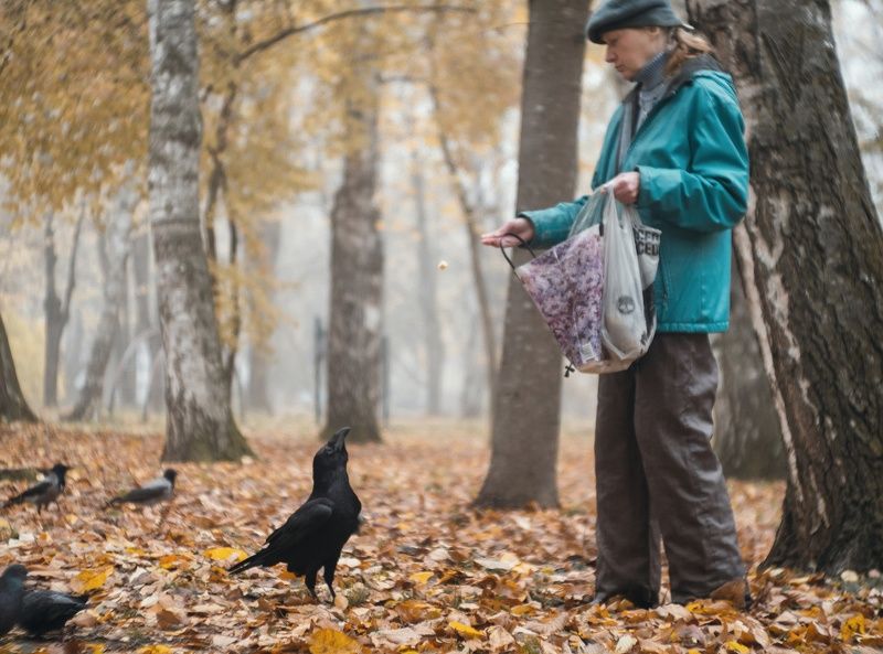 Осенние угощения. фото превью