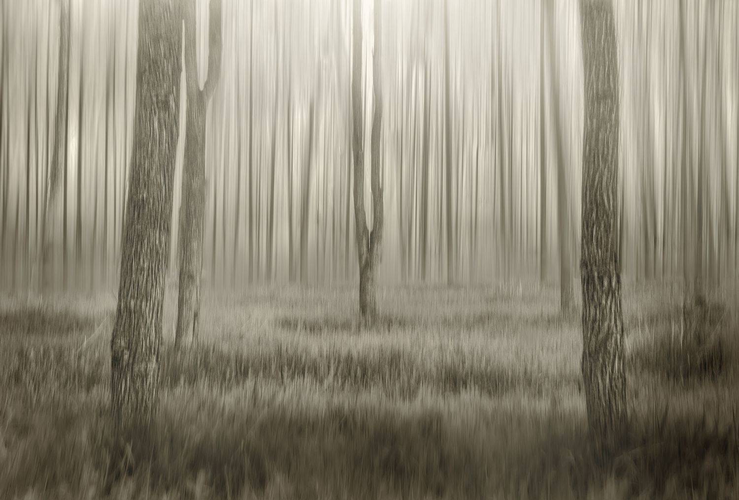 , Максим Митченко