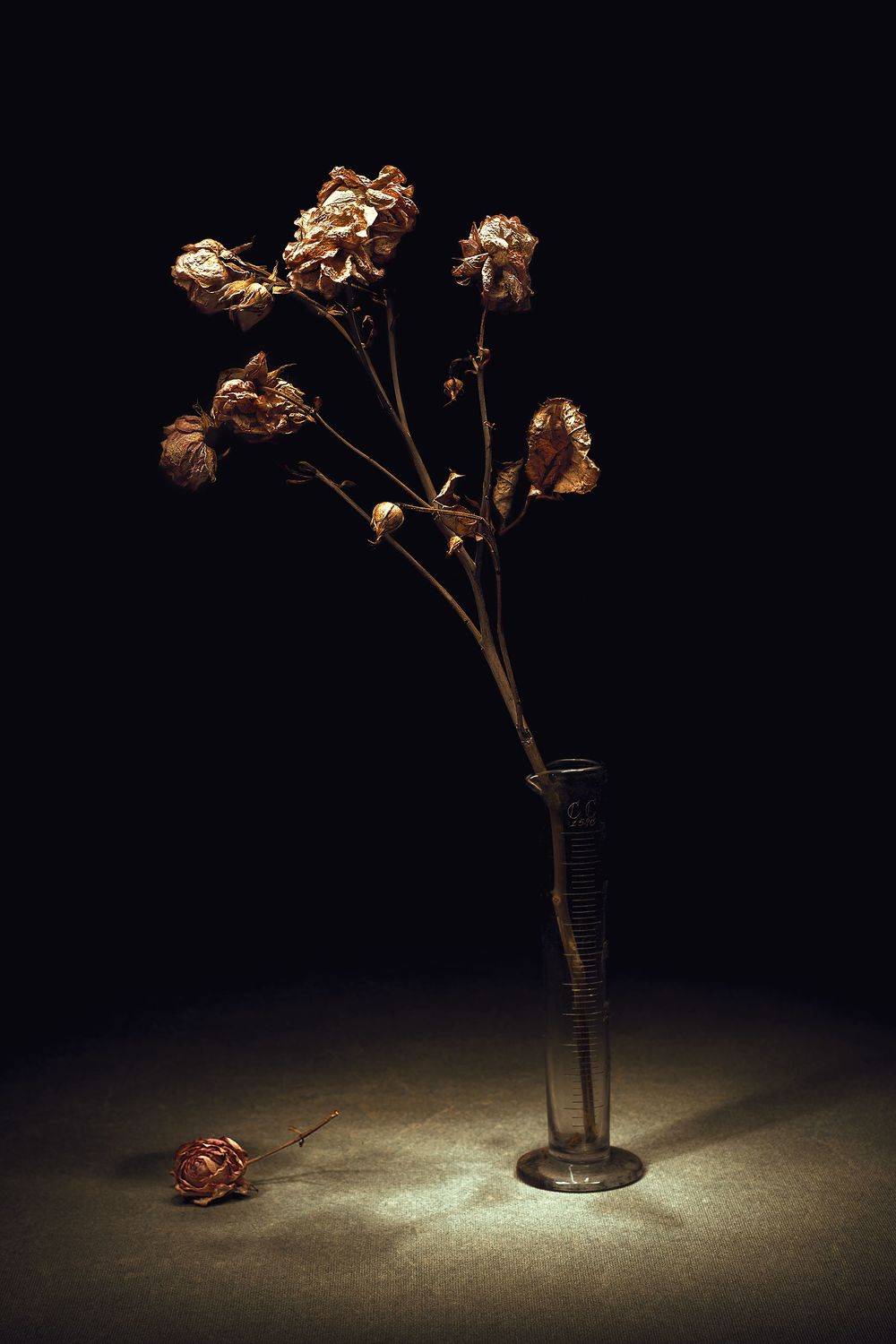 , Рут Андрей