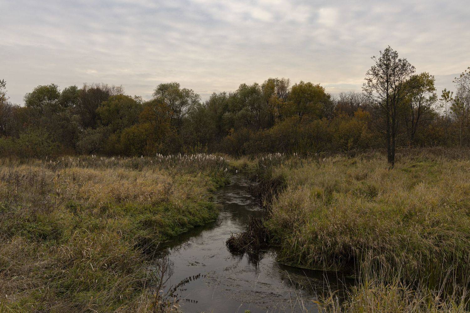 Яуза, Мытищи, осень, Тайнинское, Илья Пономарев