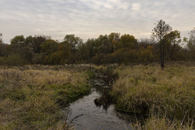 Яуза, Мытищи, осень, Тайнинское Осень. Яуза в Тайнинском фото превью