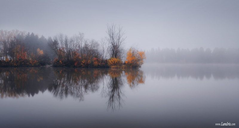 Безмолвие фото превью