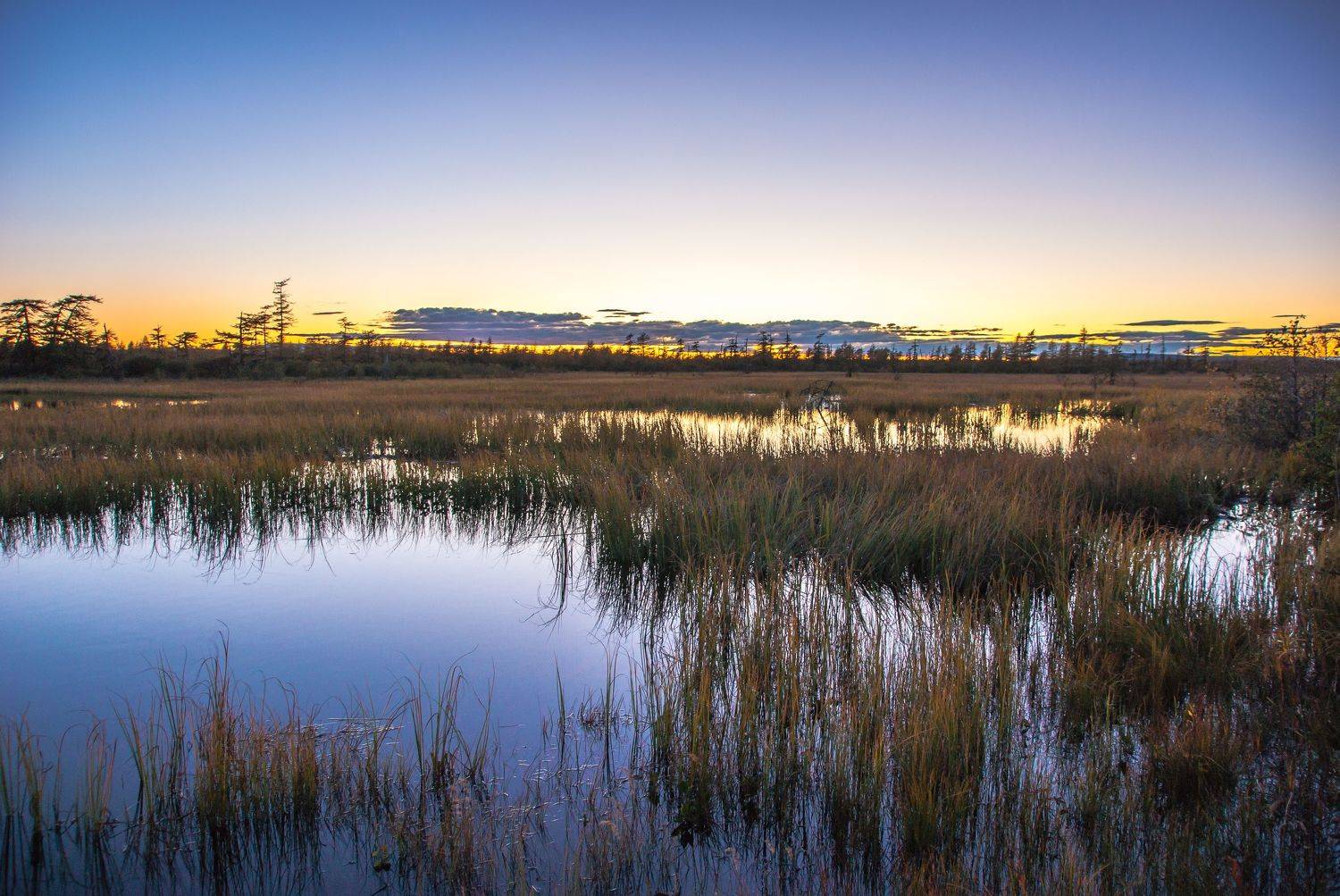 , Андрей Загребельный