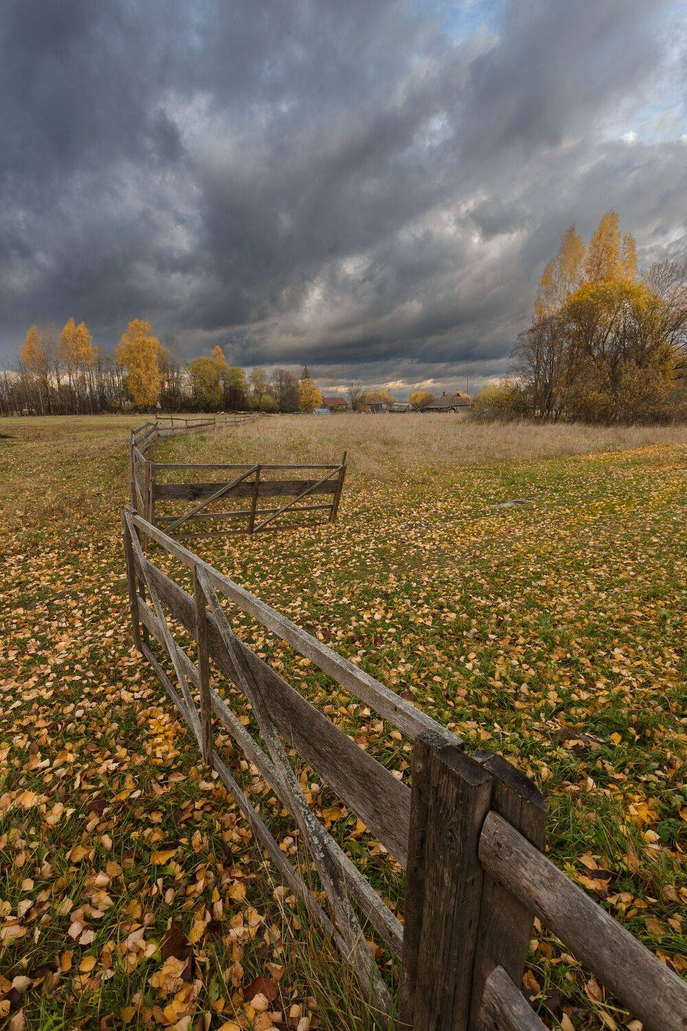 , Зеленько Дмитрий
