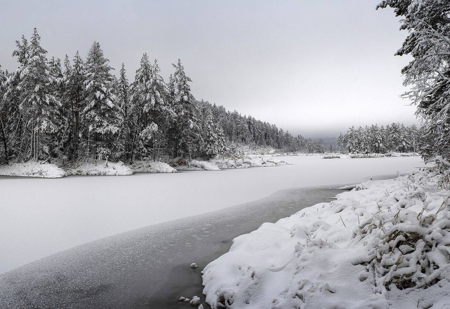 , Владимир Письмак