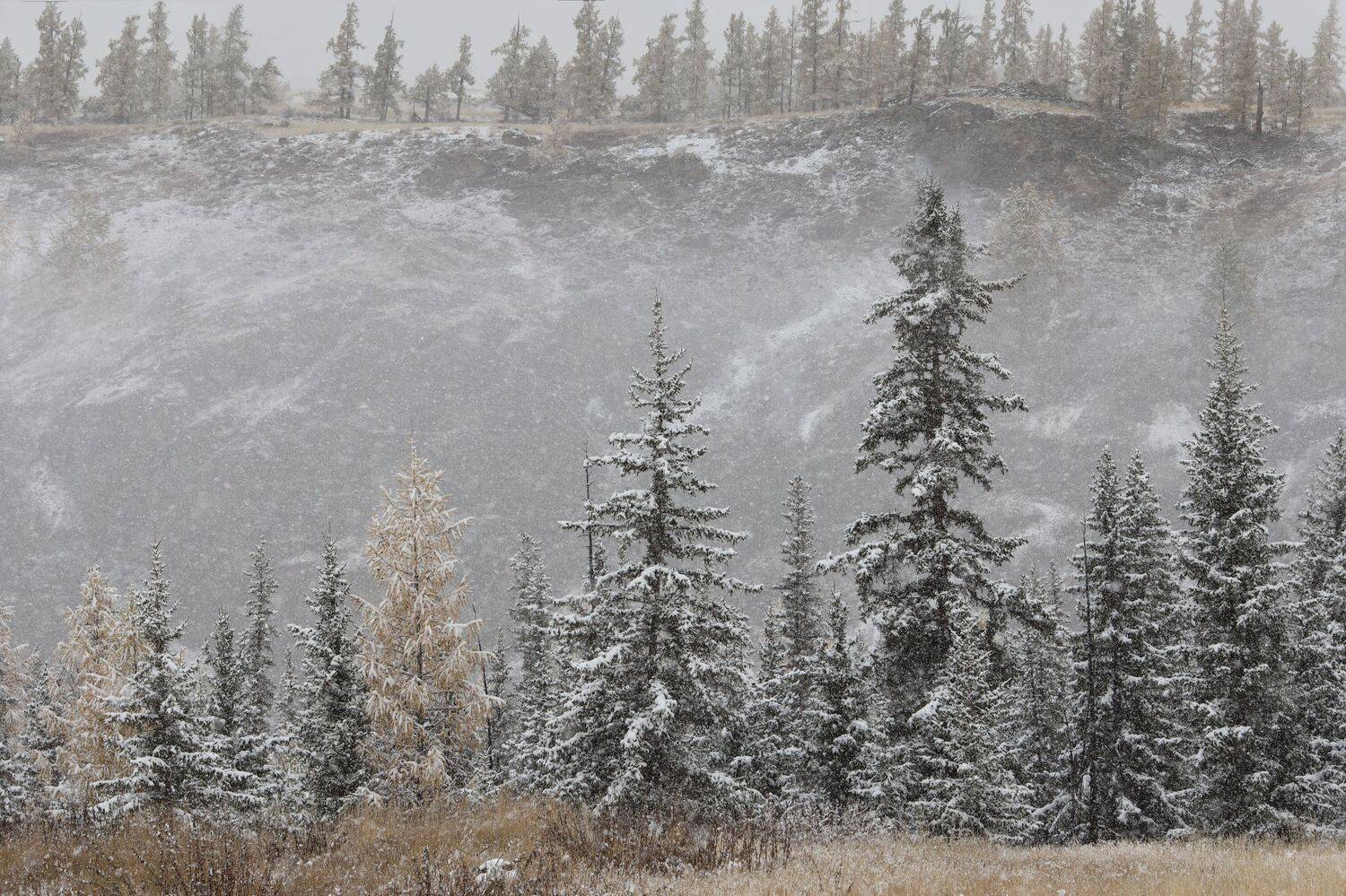 , Константин Буркин