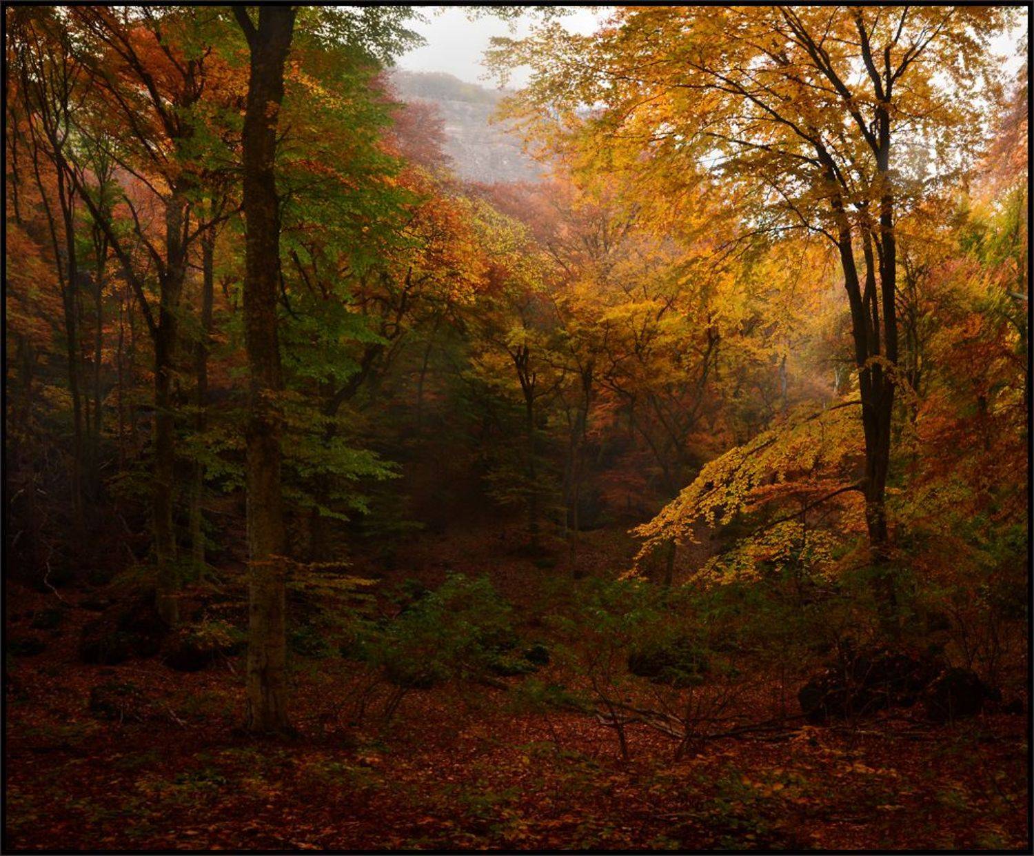 , Владимир Метцгер