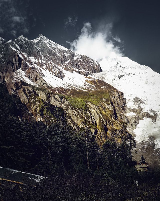 雪峰 IM  雪峰 фото превью