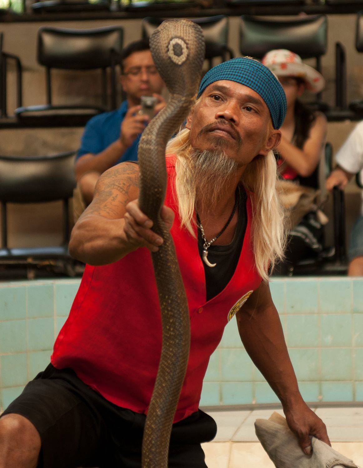 , Максимова Дария