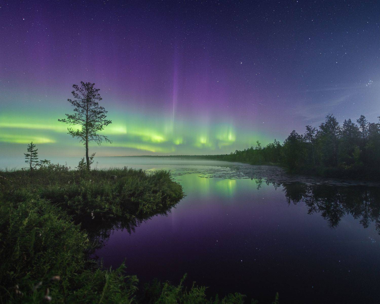 пейзаж, ночь, звезды, осень, северное сияние, полярное сияние, север, туман, landscape, northern lights, aurora borealis, polar lights, nightscape, stars, autumn, fog, Чаланов Иван