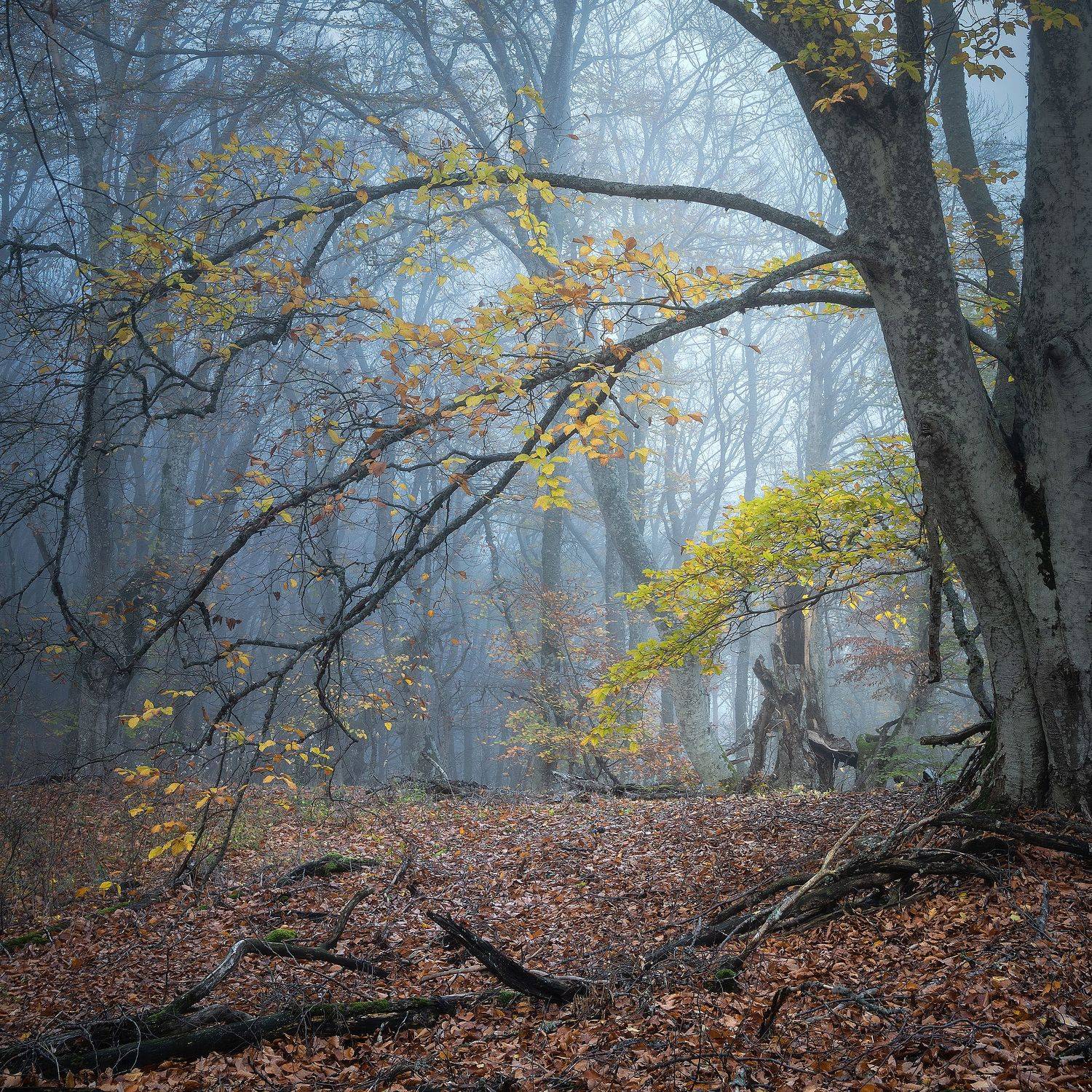, Константин Калинин