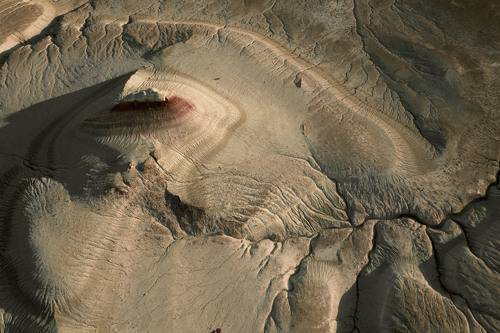 Гармония цвета и форм