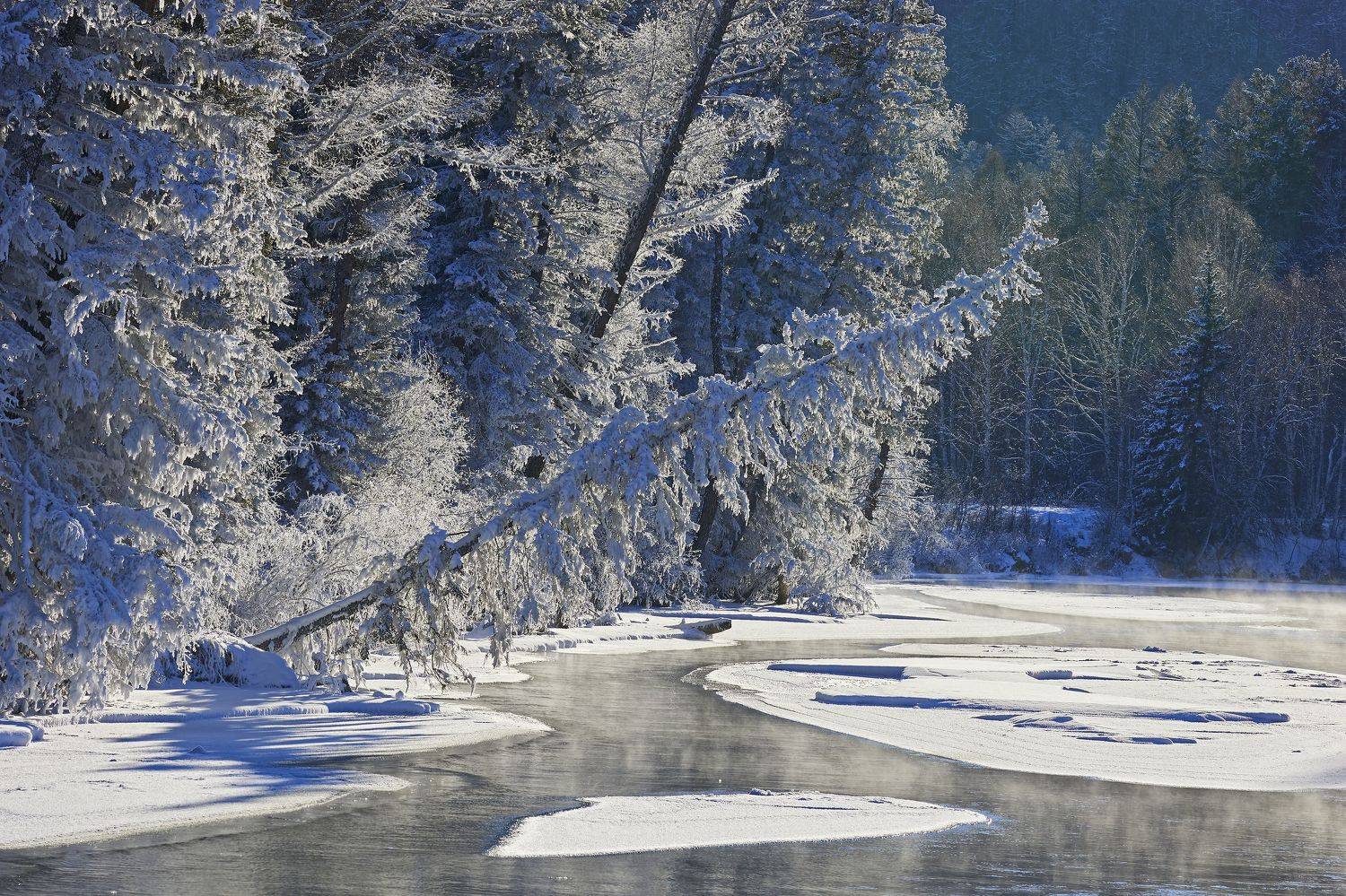 , Михаил Байбородин
