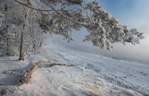 У морозного Енисея