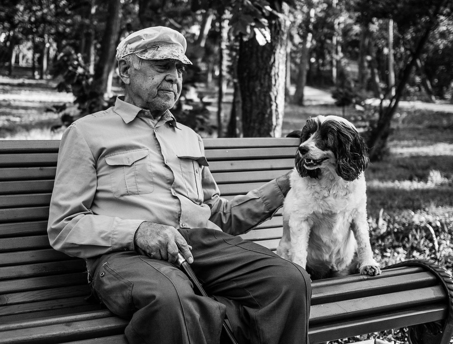 Старик, собака, друзья, Чернышев Валерий