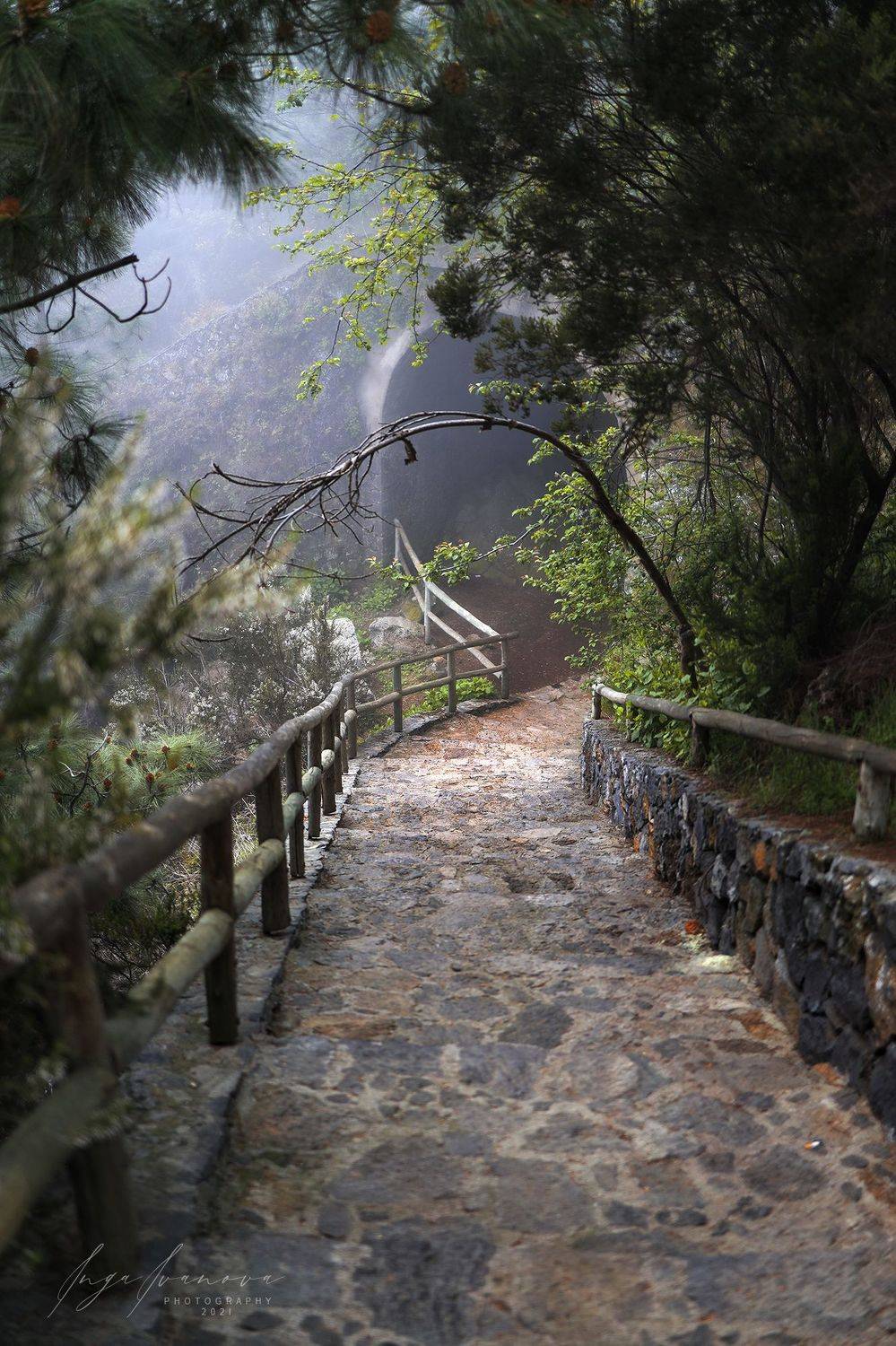 , Инга Иванова