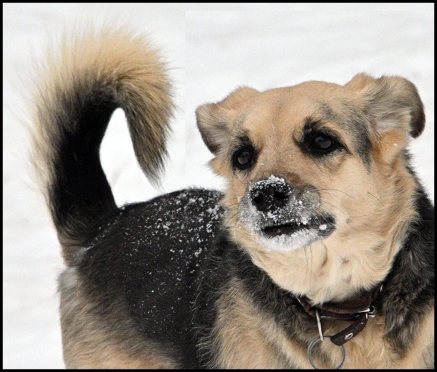 , Меднов Влад