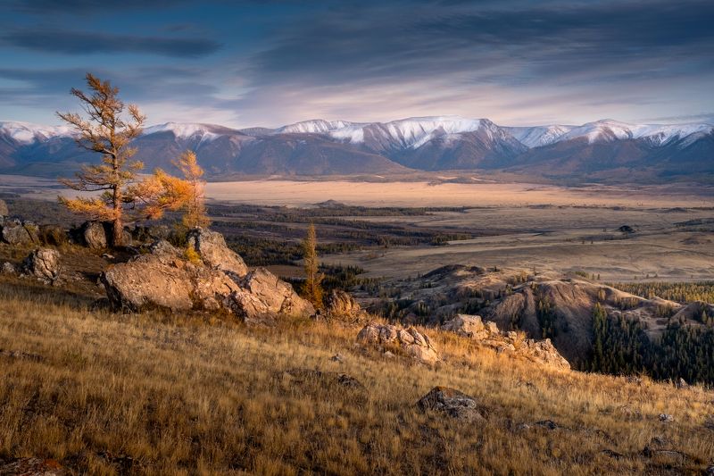 осень на алтае, республика алтай, горный алтай, курайская степь, урочище таджилу, сентябрь, алтай, нд, фототур на алтай, kurai steppe, tajilu tract, september, altai, photo tour to altai, золотой алтай, золотой алтай нд, осень, что такое осень? Ветреный вечер в урочище Таджилу фото превью