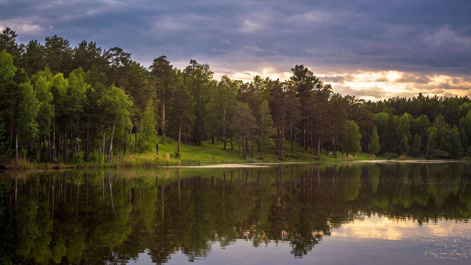 , Дмитрий Цыпляев