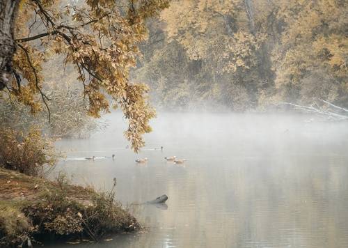 По следам Кубанского тумана.