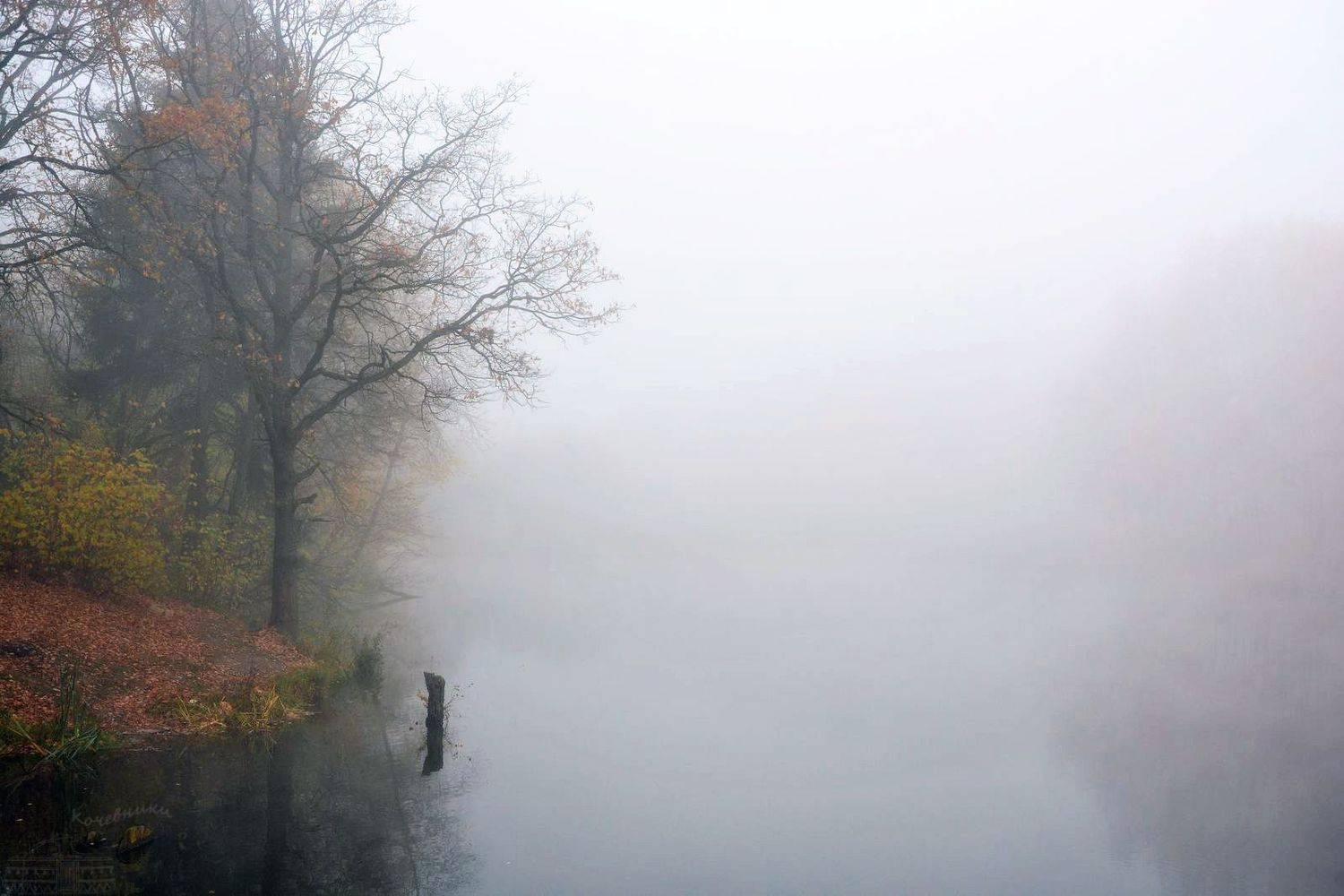 , Юлия Абрамова