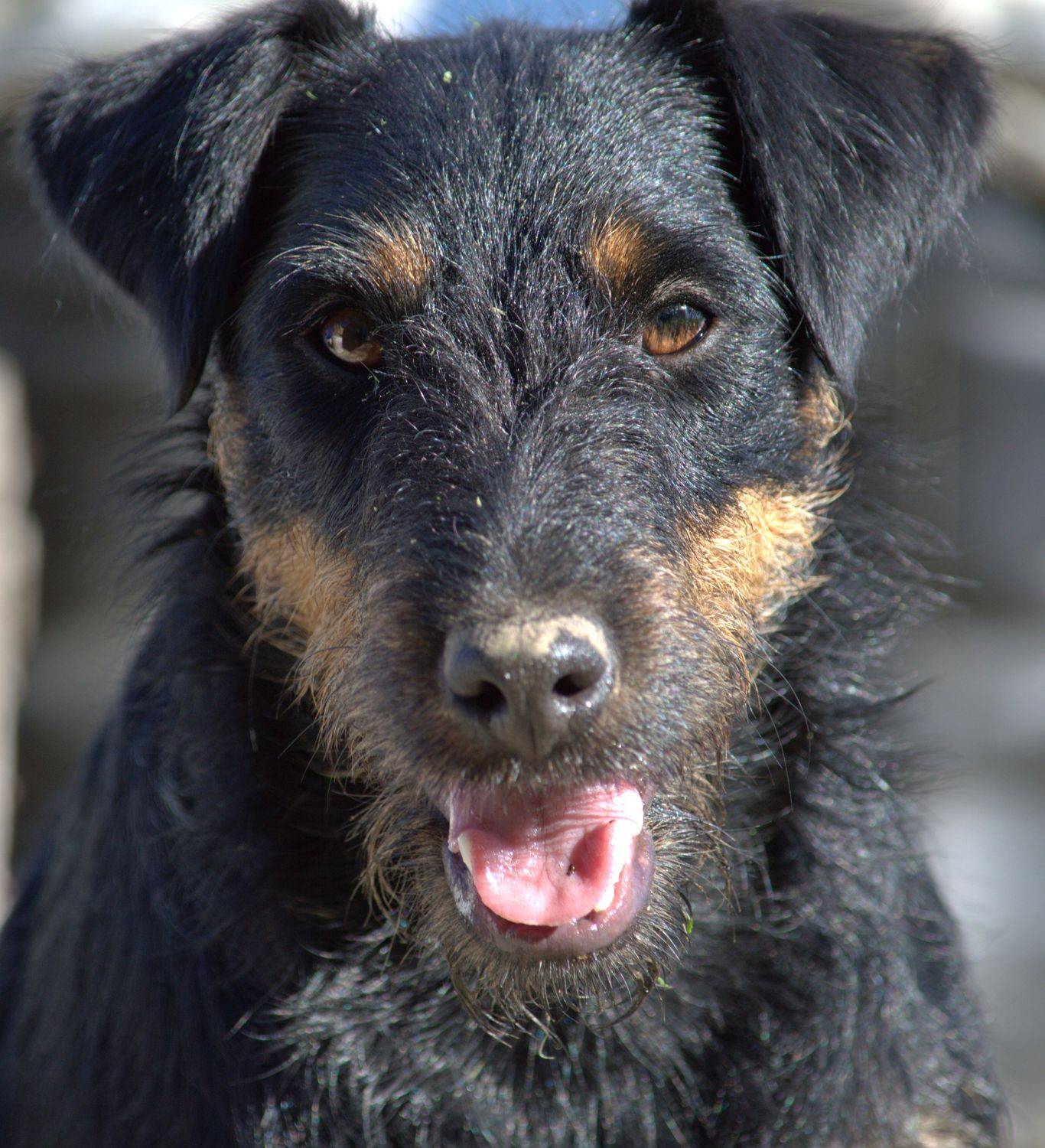 , Корнейчук Игорь