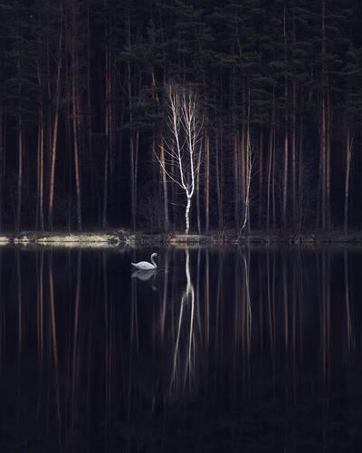 Чистая недвижимость...