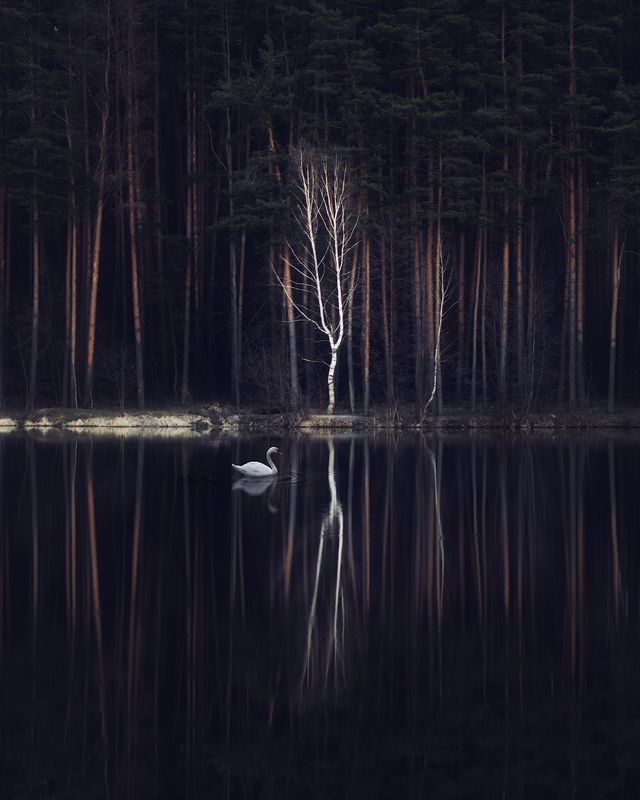 Чистая недвижимость...