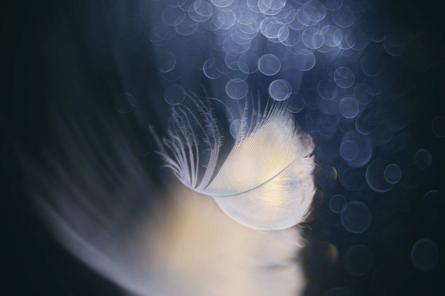 , Игорь Копцев