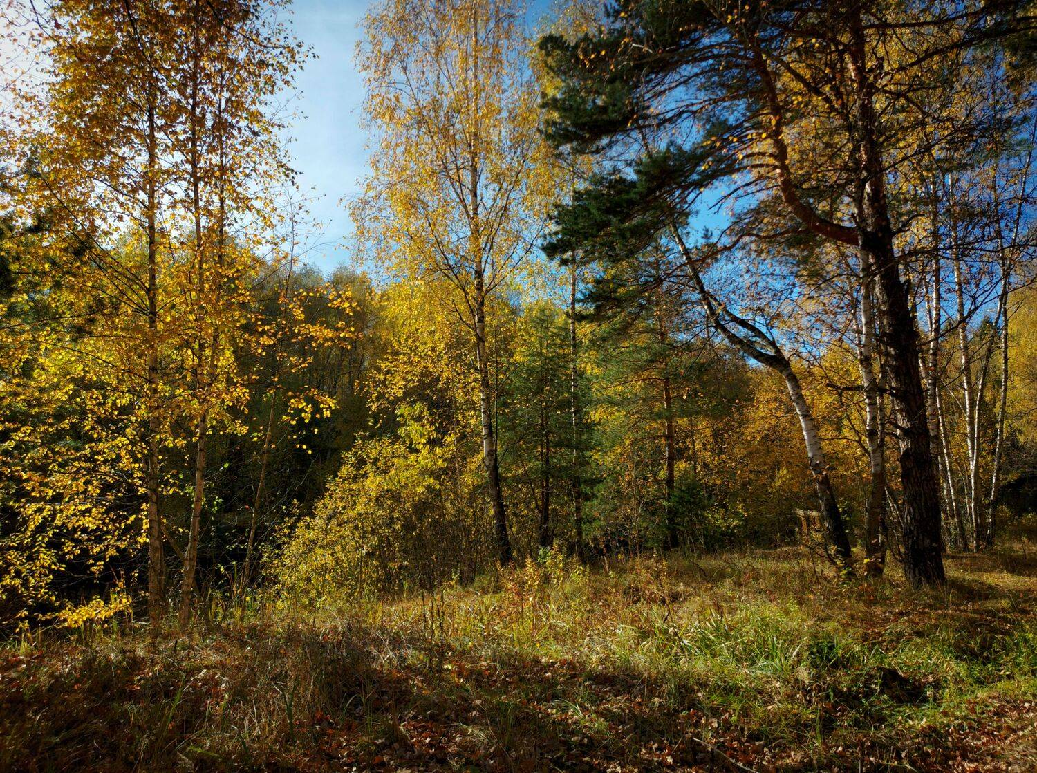 , Валерий Савостьянов