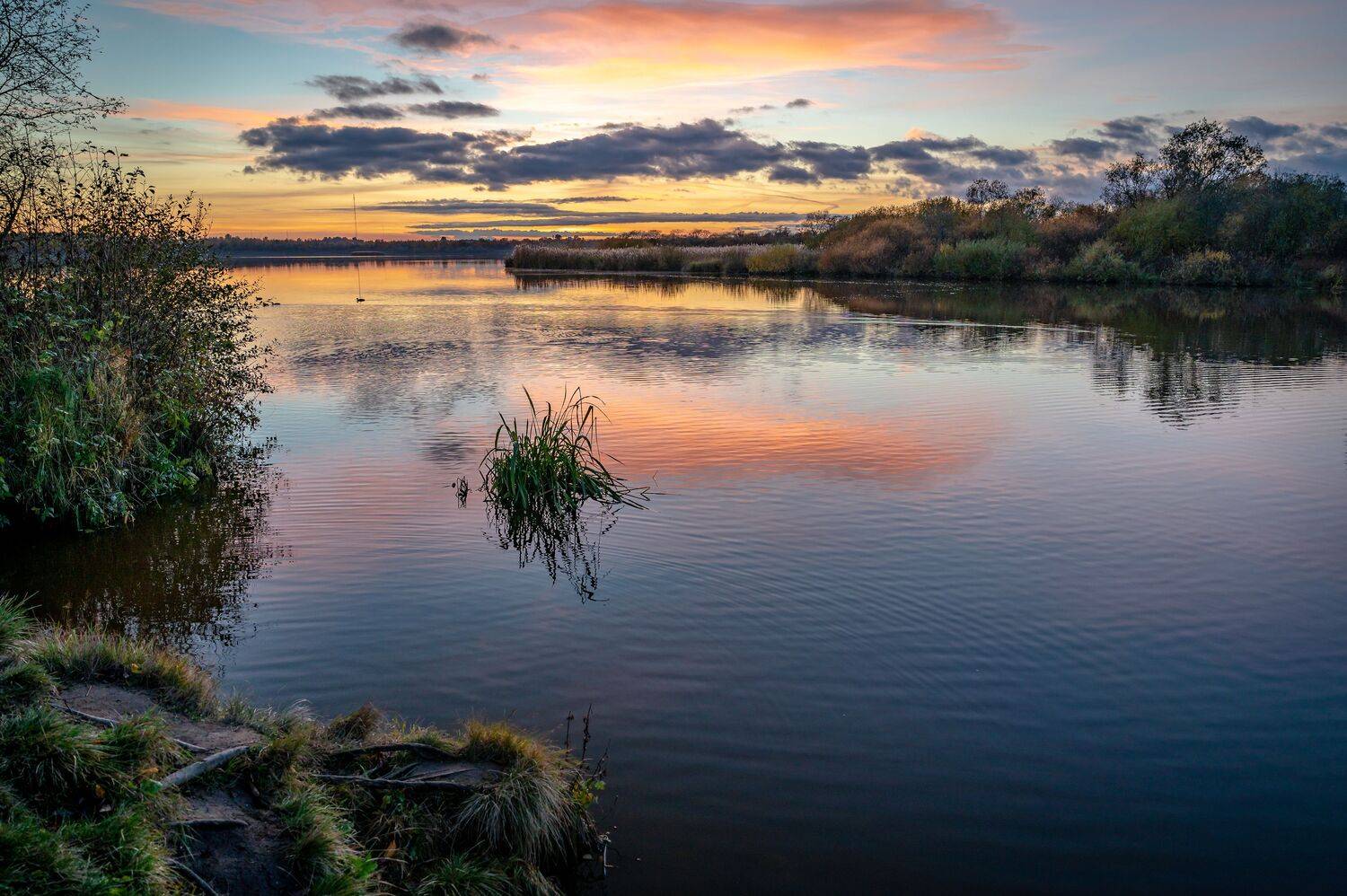 , Васильев Андрей