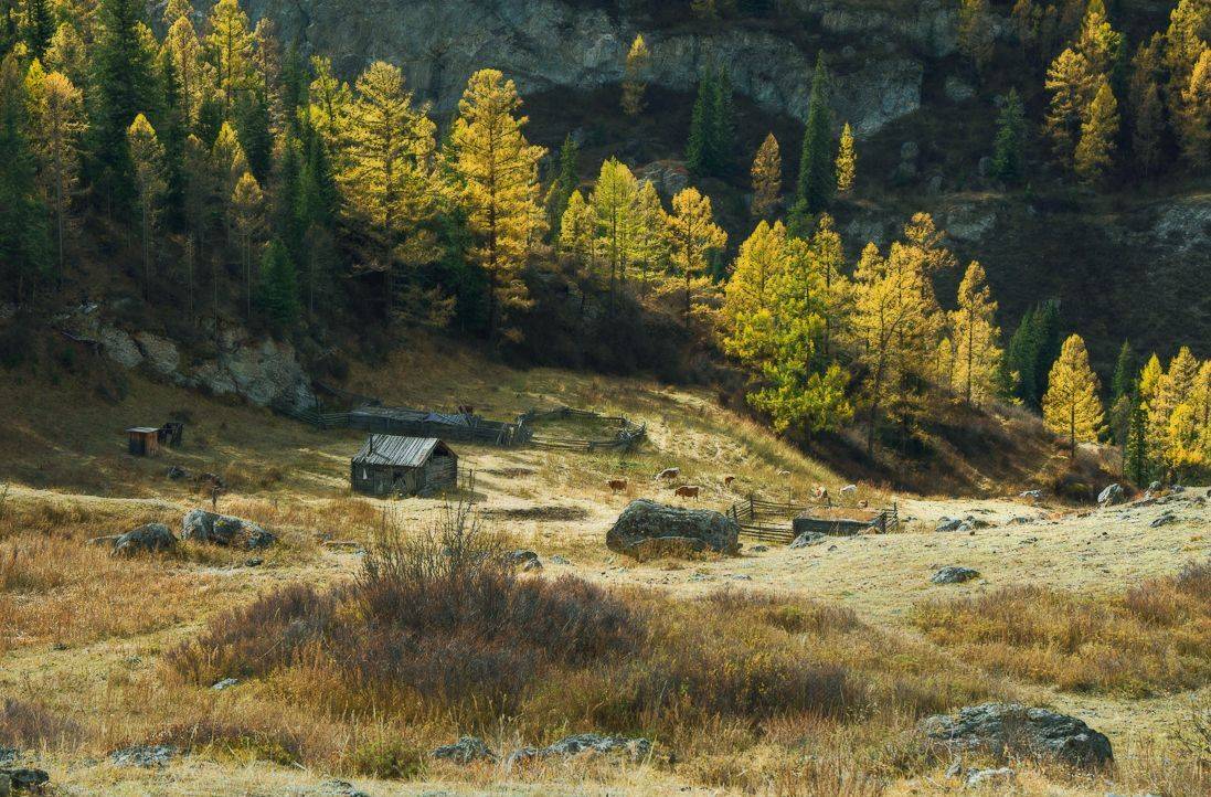 , Вадим Качанов