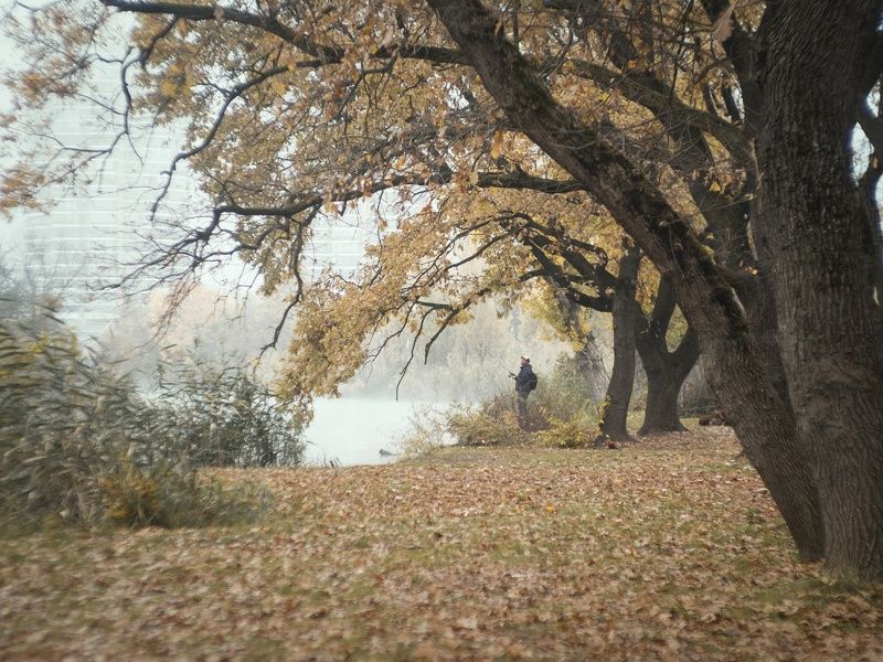 По следам Кубанского тумана. фото превью