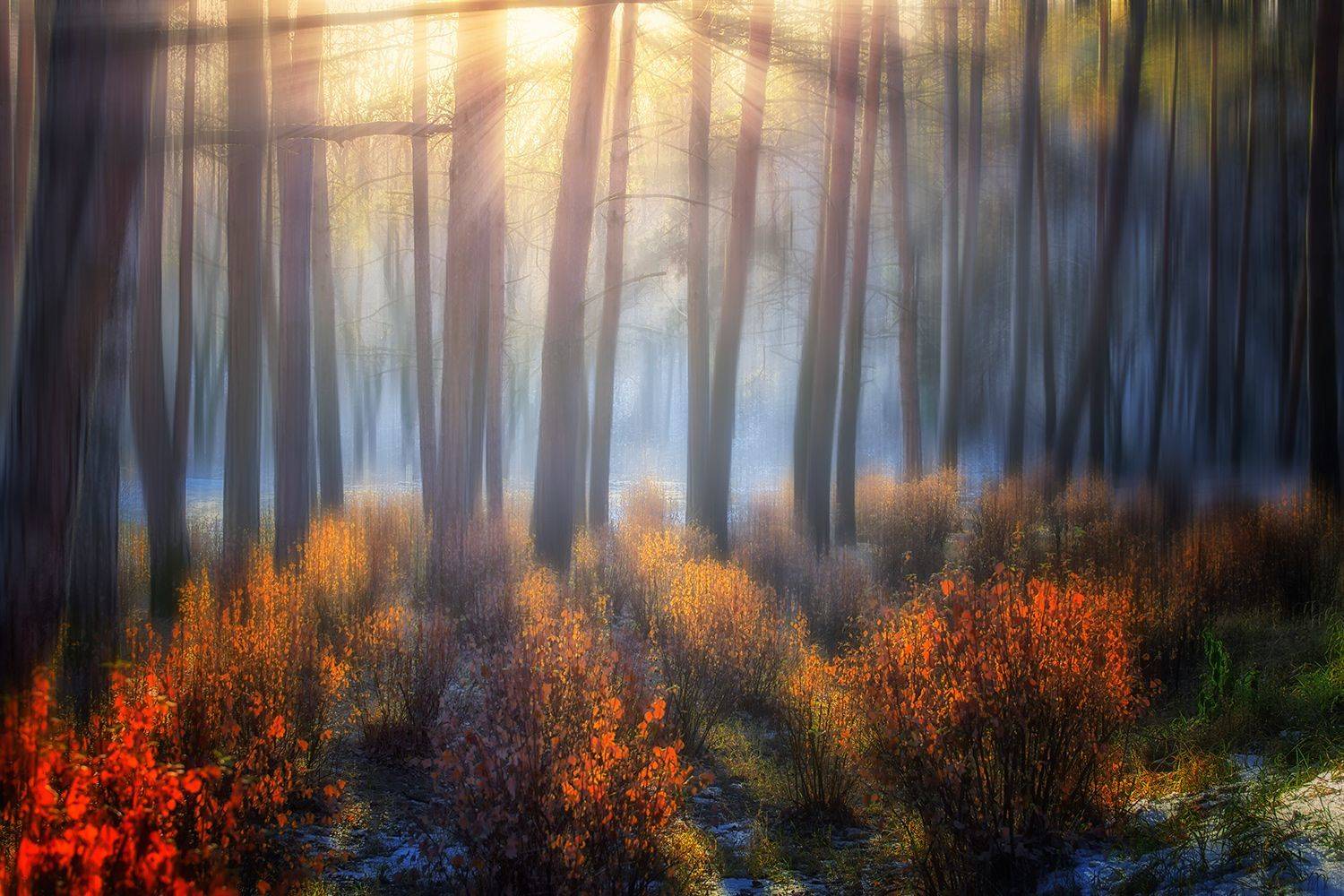 , Геннадий Чеботарев