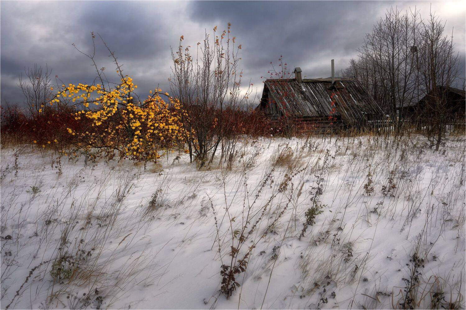 , Анатолий Гулин