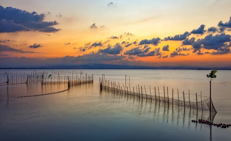 Albufera фото превью