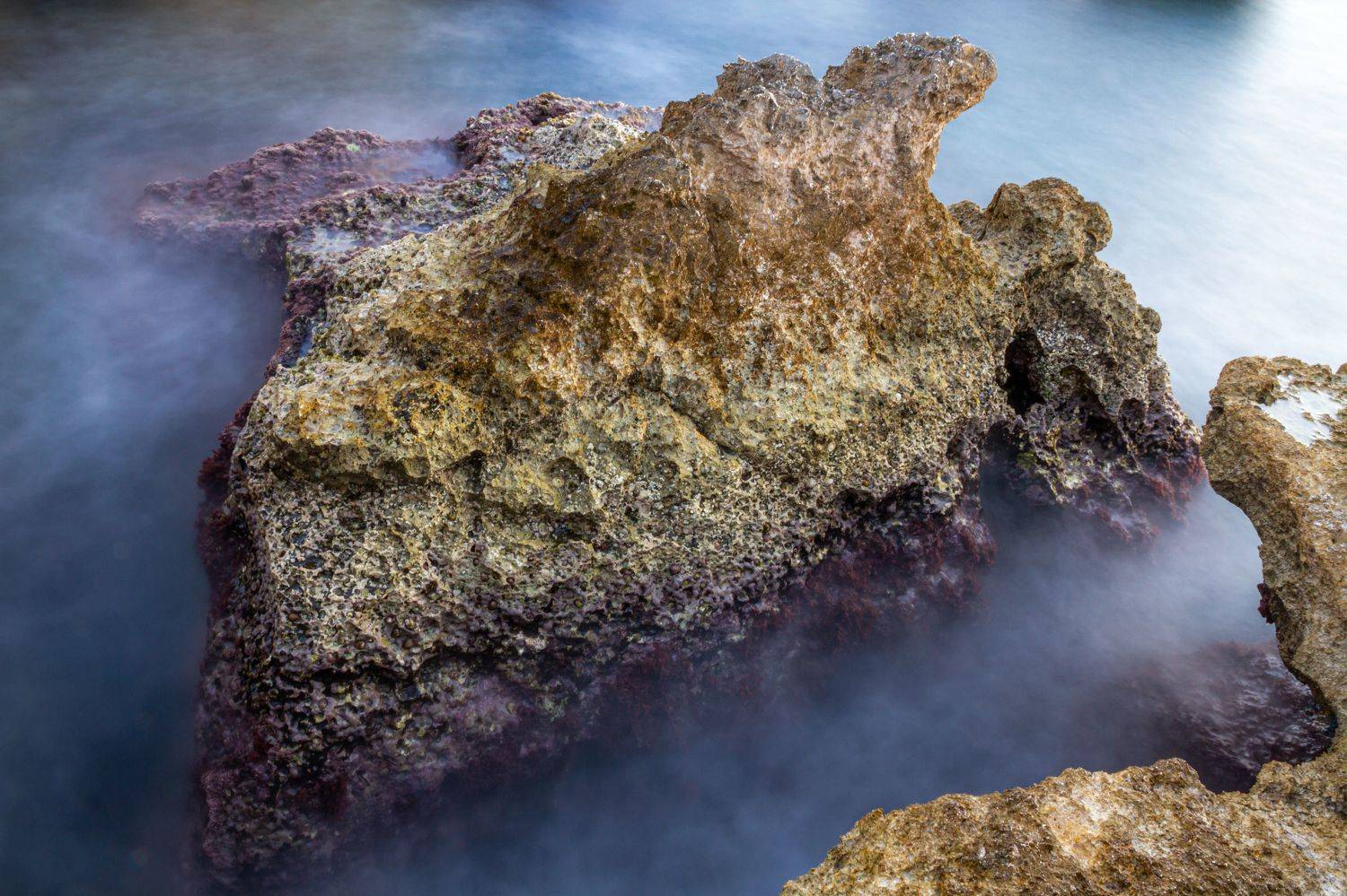 , Слащилина Нина