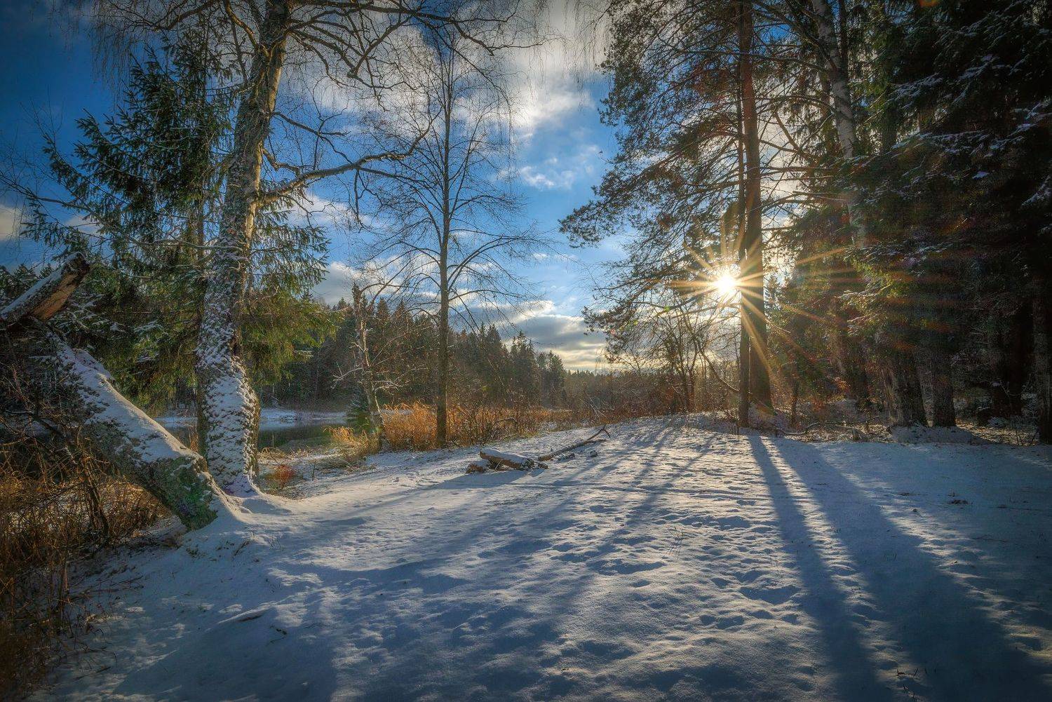 снег, река, лес , солнце, лучи, Сергей Аникин