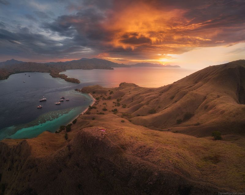 Komodo