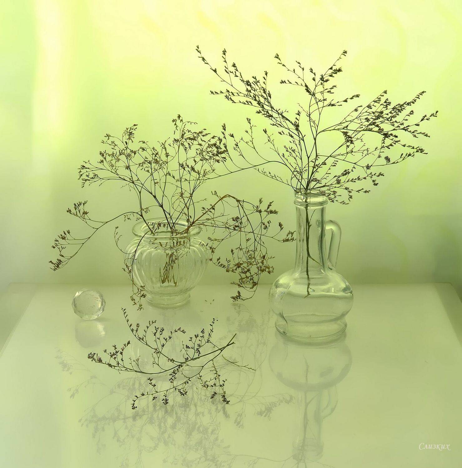 натюрморт,композиция,свет,кермек, Инаида