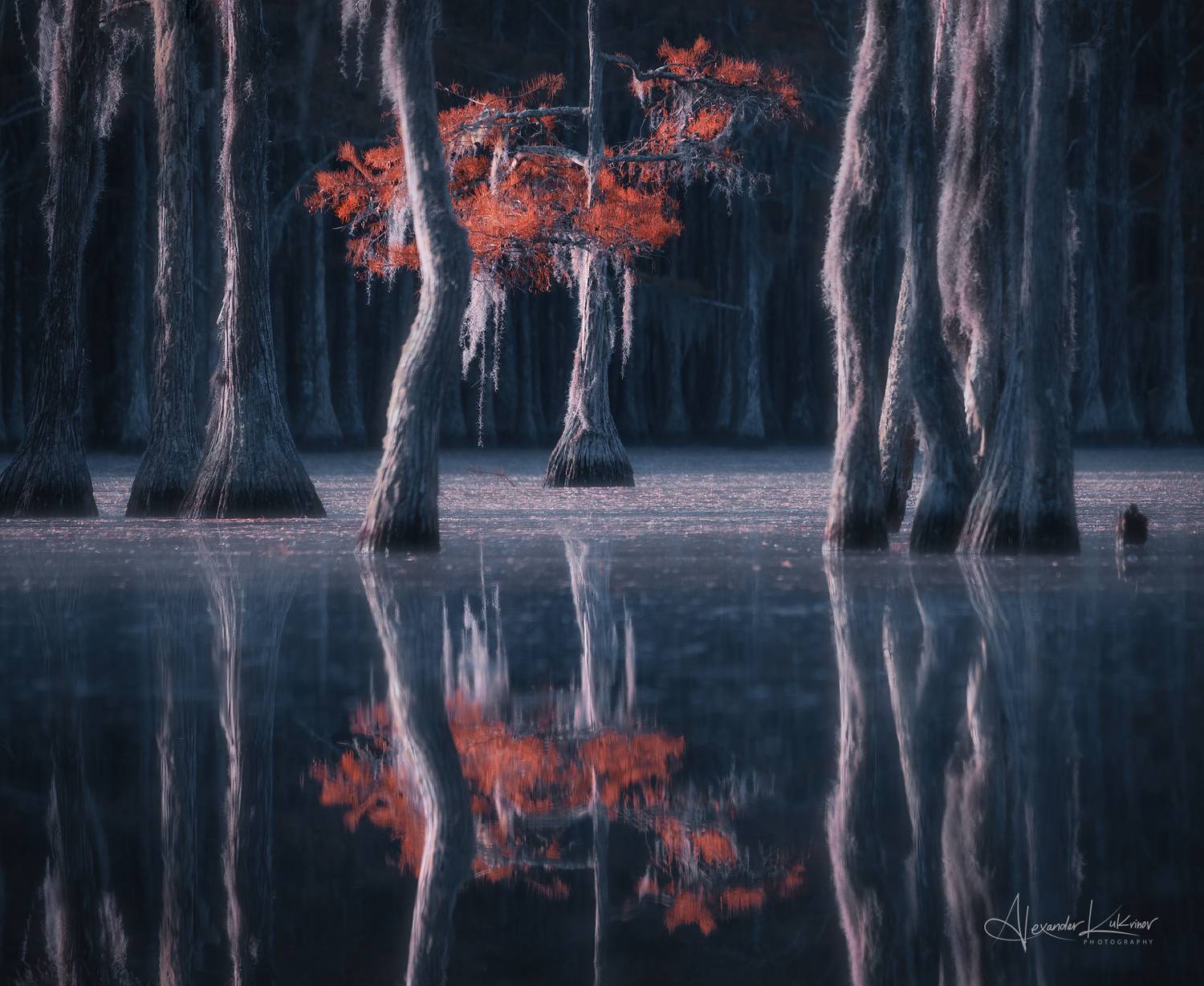 пейзаж,кипарисы,осень, Александр Кукринов